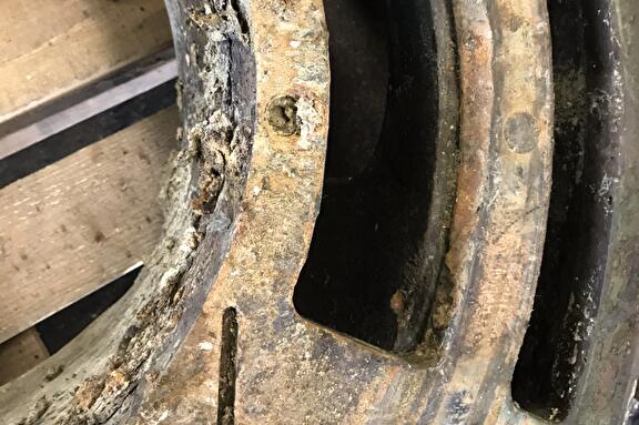 Vacuüm wang tbv fabriek in eierdozen